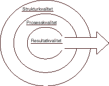 Figur 3.1 Struktur-, prosess- og resultatkvalitet