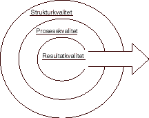 Figur 3.1 Struktur-, prosess- og resultatkvalitet