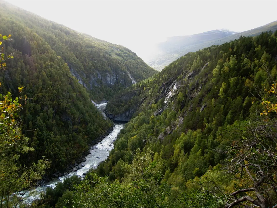 Trøndelag