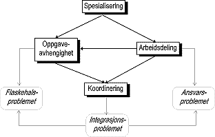 Figur 6.5 Problemer knyttet til intern organisering