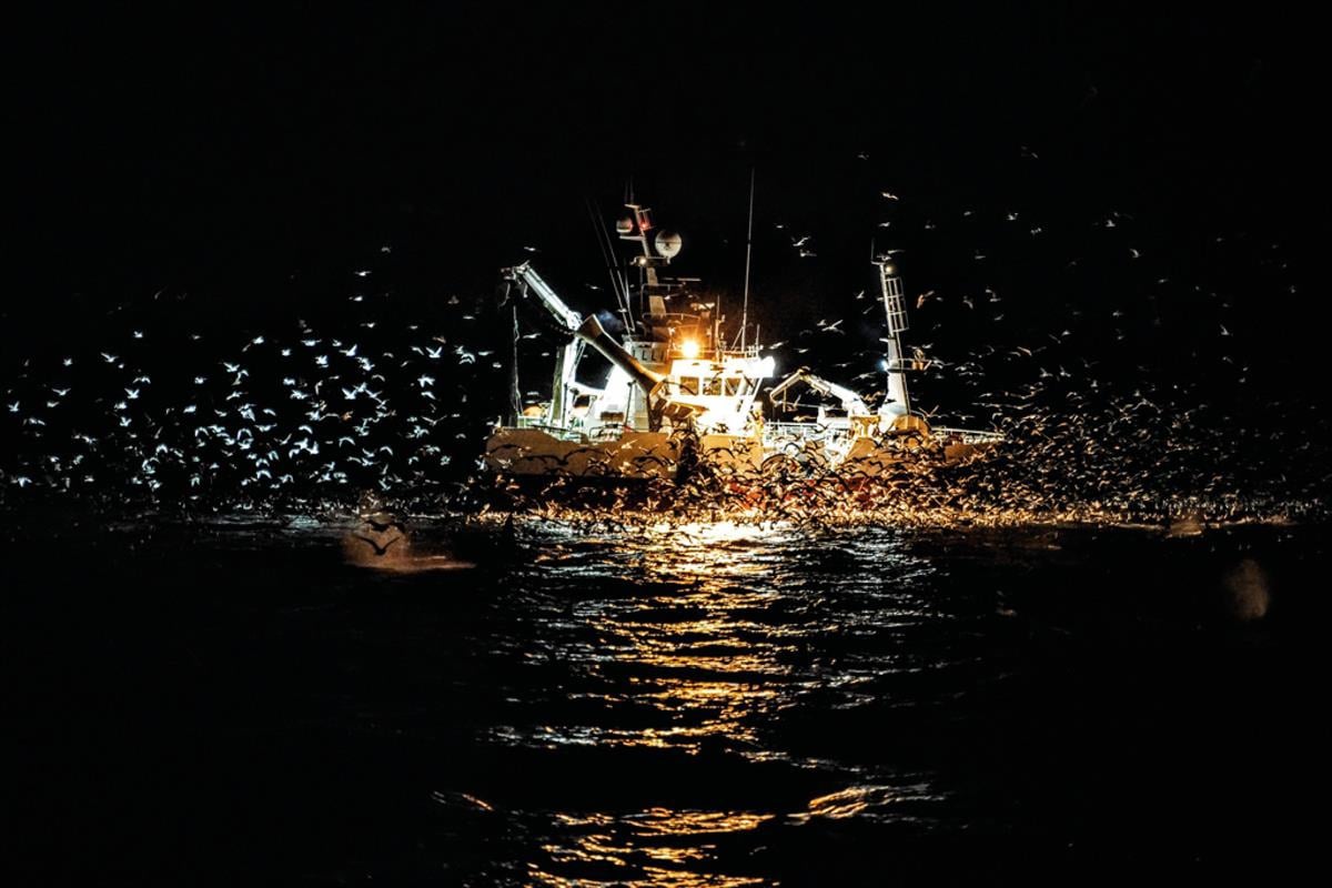 Motiv: fiskebåt
Foto: Jørgen Ree Wiig / Fiskeridirektoratet