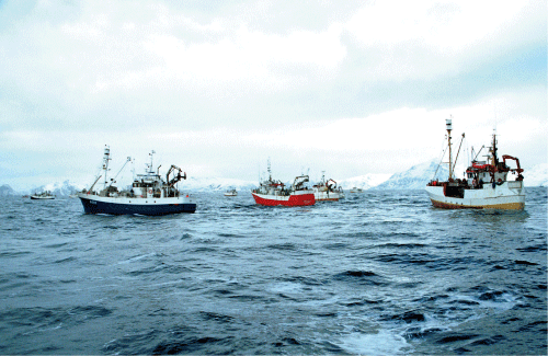 Figur 2.22 Stor aktivitet under Lofotfisket