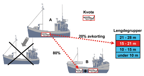 Figur 4.5 Strukturkvoteordningen i kystfiskeflåten