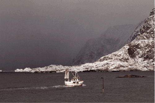 Figur 8.1 Næring, natur og kultur i harmonisk sameksistens