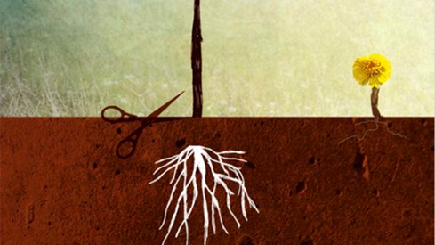 Illustrasjon av saks som kan klippe røttene av et tre
