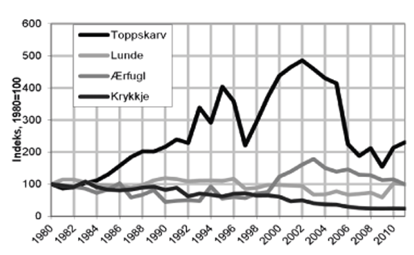 Figur 11.1 Bestandsutviklinga i norskehavområde for utvalde indikatorarter for perioden 1980-2011 (SEAPOP 2011). 