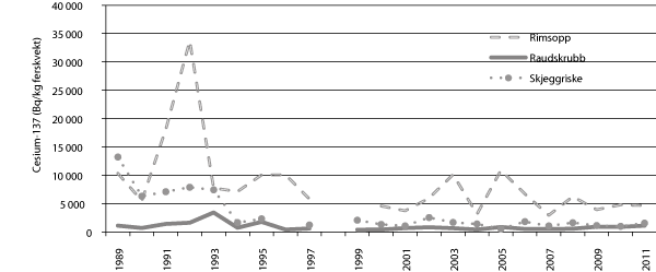 Figur 19.2 Utviklinga av cesium-137 i tre ulike sopparter i Lierne i Nord-Trøndelag