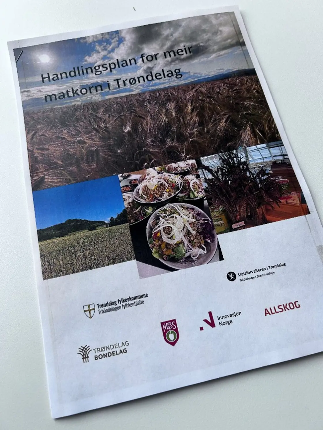 Partnerskap landbruk i Trøndelag har utarbeida Handlingsplan for meir matkorn i Trøndelag.