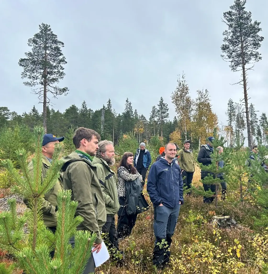 skog
