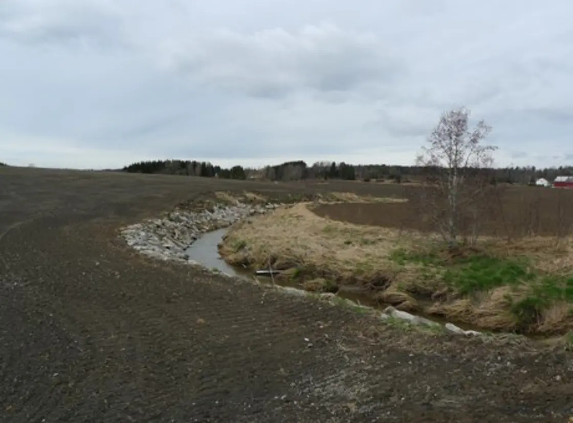 grøft