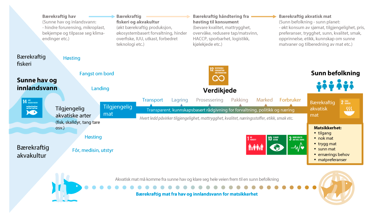 Figur 5.1 Det akvatiske matsystemet – fra hav til bord