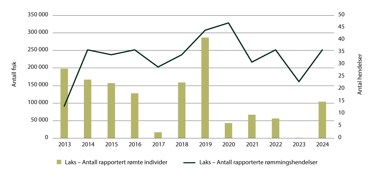 Figur 7.1 Antall rapporterte rømte oppdrettslaks og rømmingshendelser fra 2013 til 2024. Hendelser med andre arter ikke inkludert.