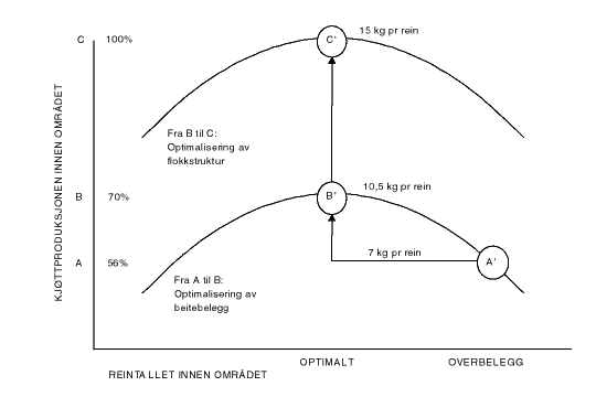 Figur 3.5 Prinsippskisse for kjøttproduksjonspotensialet, - pr. arealenhet og pr. rein i vårflokken, som resultat av beitebelegg og flokkstruktur.