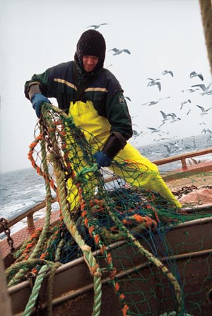 Figur 10.2 Fisker i arbeid på kystfartøy