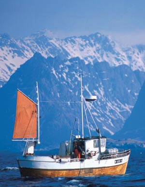 Figur 10.5 Eksempel på et fartøy under 15 meter som
 vil få anledning til å benytte seg av Strukturfondet