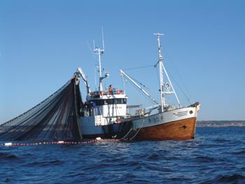 Figur 2.2 Kystnotbåten «Remming» i ferd med å hale
 noten
