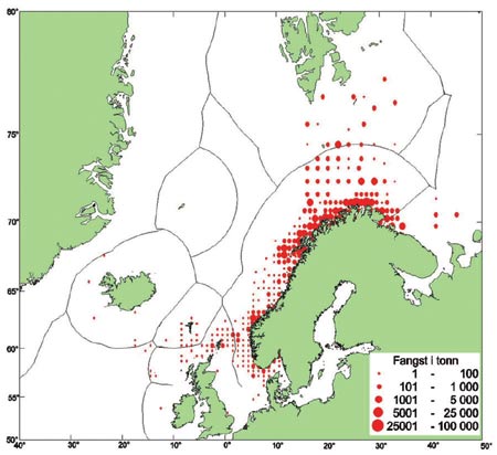 Figur 7.7 Fangstområde og angivelse av fangstmengde av torsk
 for de ulike områder