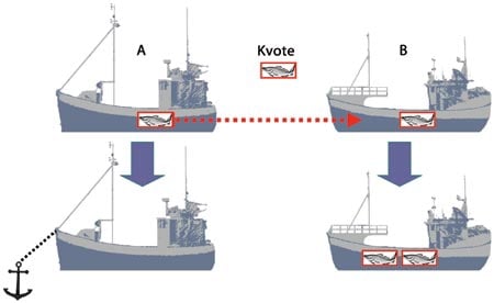 Figur 8.1 Illustrasjon av hvordan driftsordning vil fungere ved samarbeid
 om kvoter