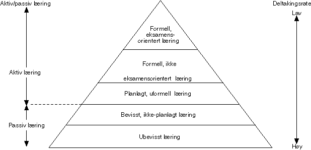 Figur 1-1 Læringshierarki i arbeidslivet