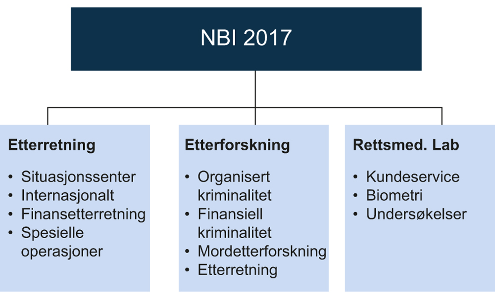 Figur 17.5 
Organisering NBI