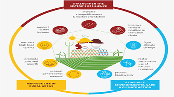 Figur 1. EUs landbrukspolitiske mål for perioden 2021 (2023) – 2027.