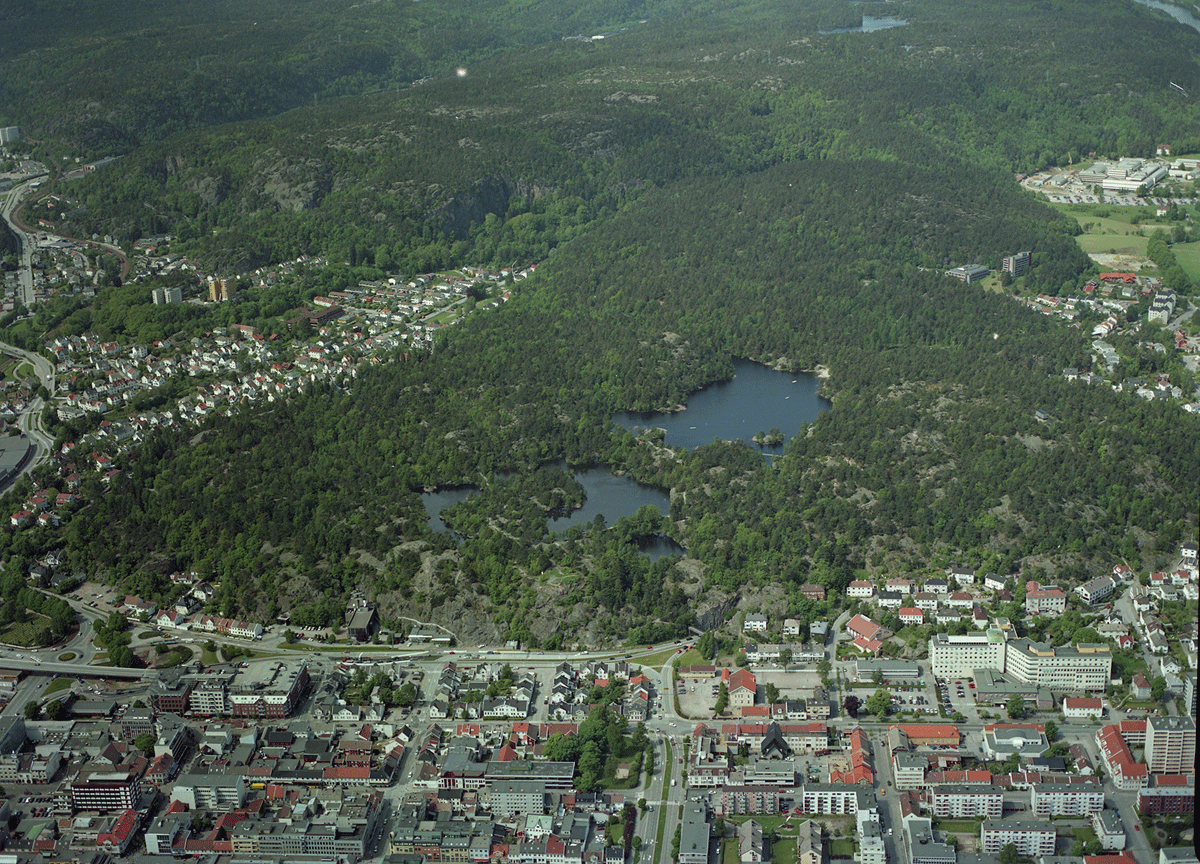 Figur 3.1 Flyfoto av Baneheia. Grim oppe til venstre, Kristiansand sentrum nederst og Eg oppe til høyre.