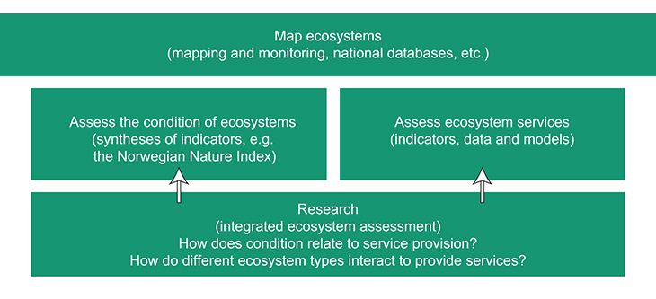 Figure 8.2 Mapping ecosystems and their services
