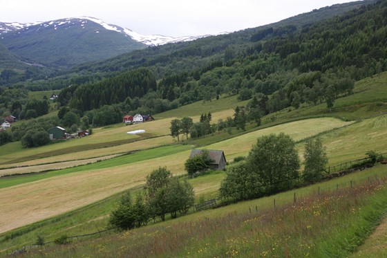 Tre prosent av landarealet i Sogn og Fjordane er jordbruksareal. Det er 532 500 dekar, eller omtrent storleiken på Gulen kommune, og utgjer fem prosent av jordbruksarealet i Noreg.