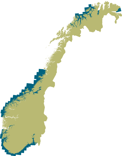 Figur 2.4 Status for forseringsprogrammet 2002