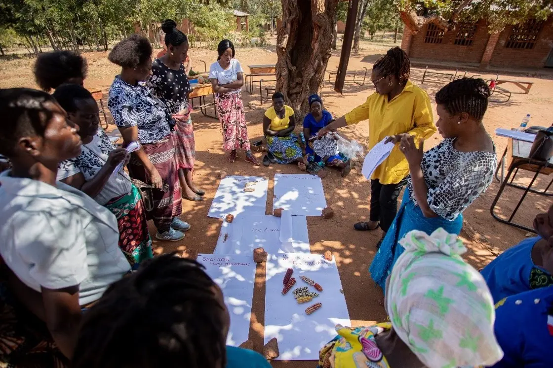 sortering av tradisjonelle sortar i Malawi
