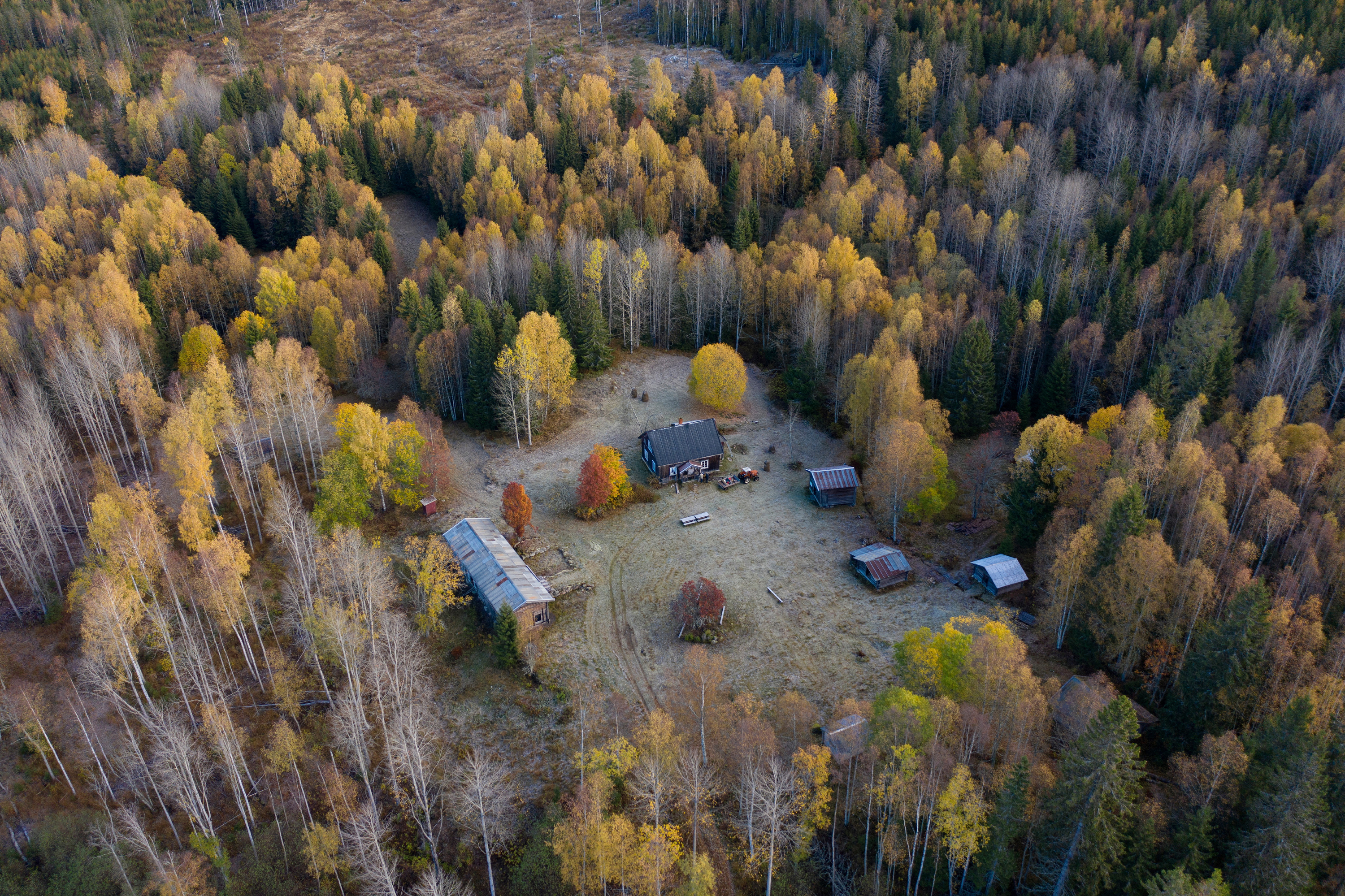 Abborhøgda i Innlandet er ein skogfinsk plass. Det er mogleg å gå til husmannsplassen ved å fylgje den historiske vandrarruta Finnskogrunden.