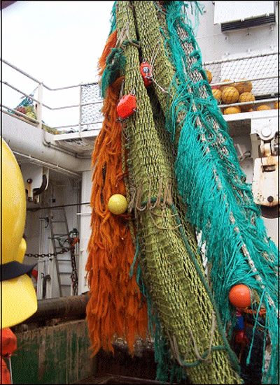 Figur 8.2 Torsketrål..