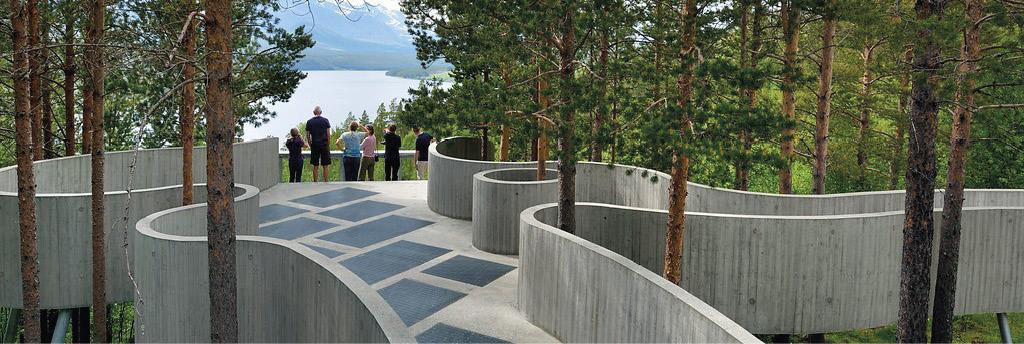 Et bilde som inneholder tre, utendørs
Automatisk generert beskrivelse