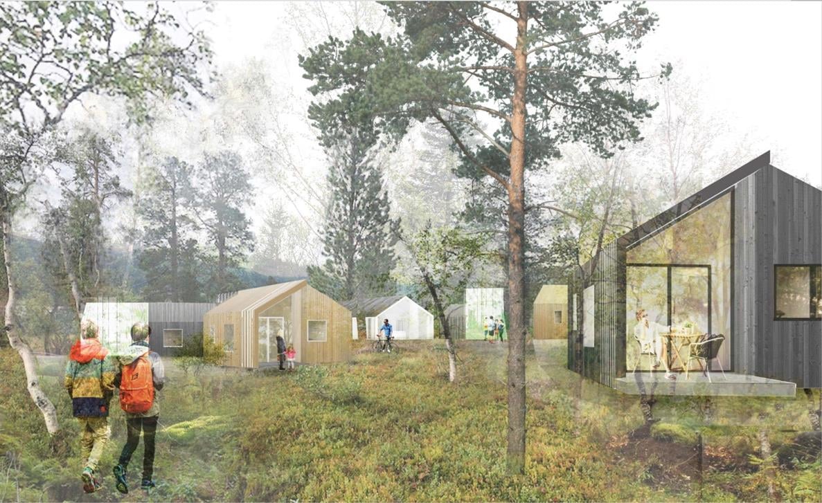 Et bilde som inneholder gress, tre, utendørs, flere
Automatisk generert beskrivelse