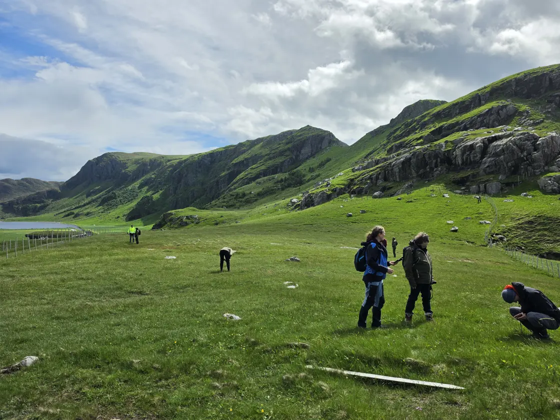 naturlandskap i Stad