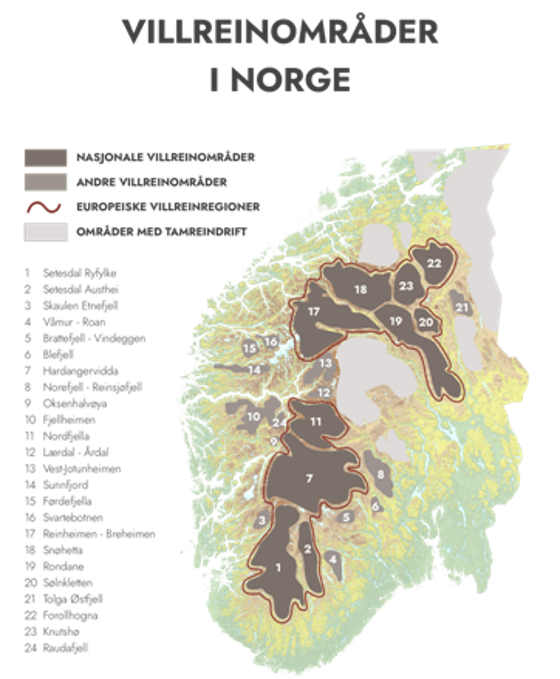 Kart over dei 24 villreinområda i Noreg, med avgrensing av dei 10 nasjonale villreinområda, 14 andre villreinområde, 2 europeiske villreinregionar og område med tamreindrift.
