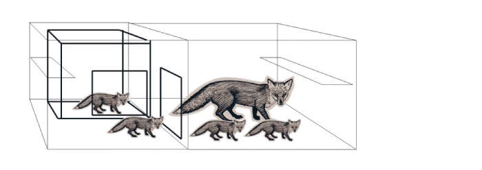 Figur 3.2 Oppstalling av tispe med valper over tre uker gamle på minstearealet
