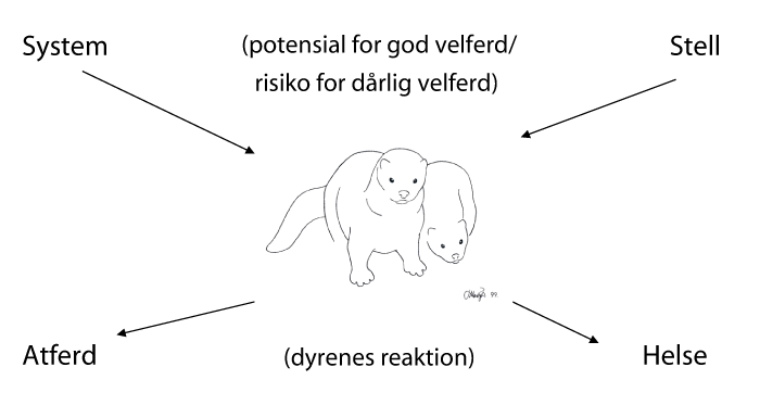 Figur 3.5 Velferdsindikatorer 