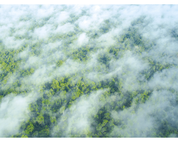 Figur 4.1 Bevisstheten om økosystemenes økonomiske verdi har økt