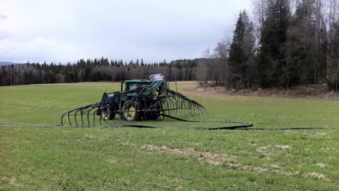 Miljøvenleg spreing av husdyrgjødsel/bruk av tilførselsslange.