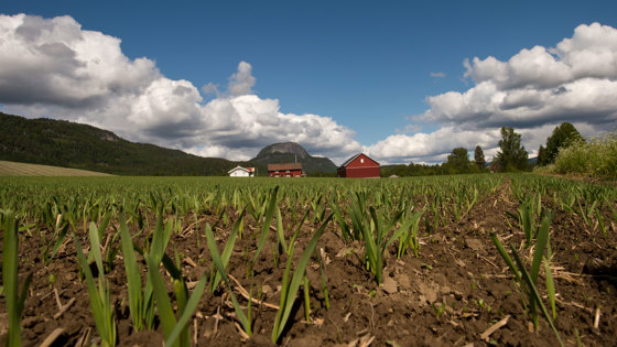 Kunnskap om tradisjonell naturbruk har stor verdi for hvordan naturen skal ivaretas på en bærekraftig måte i framtida