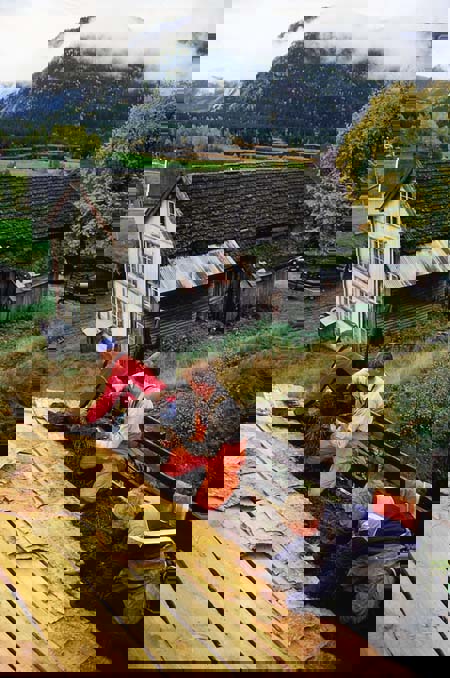 Figur 11.2 Gammel håndverkerkunnskap videreføres gjennom
 kurs og annen utdanning. Uppigard Homme i Valle får ny
 never og torv på taket.