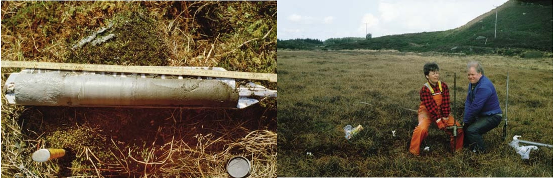 Figur 11.4 Pollenanalyser forteller om tidligere tiders klima og vegetasjon.
 Uttak av pollenprøver tas ofte i myr eller fuktige områder
 der pollenstøv som er fanget opp, konserveres i lang tid.