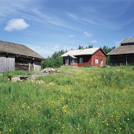 Figur 8.2 Norge har et spesielt ansvar for å ta vare på de
 nasjonale minoritetenes kulturminner. Skogfinnenes boplasser i Hedmark
 er blant disse kulturminner. Kvåho, Kongsvinger.