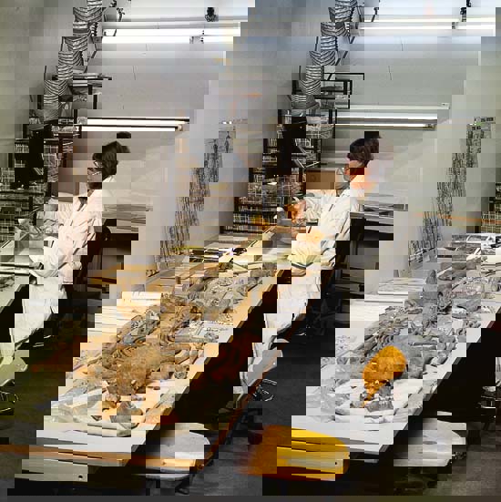 Figur 9.5 Det anbefales at forskning bør være unntatt
 fra merverdiavgift. Gamle skjeletter og skjelettdeler gir ny viten
 om menneskers liv og virke fra flere tusen år til bake.