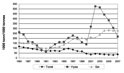 Figur 4.3 Gytebestand for torsk, hyse og sei i Nordsjøen og
 Skagerrak 1985–2007