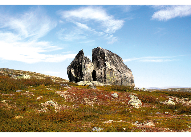 Govus 1.6 Lappesten Hol suohkanis Buskerudas.