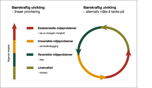 Figur 3.3 Utfordringar i arbeidet for ei berekraftig utvikling.