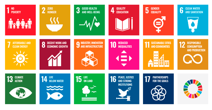 Figure 1.2 The Sustainable Development Goals
