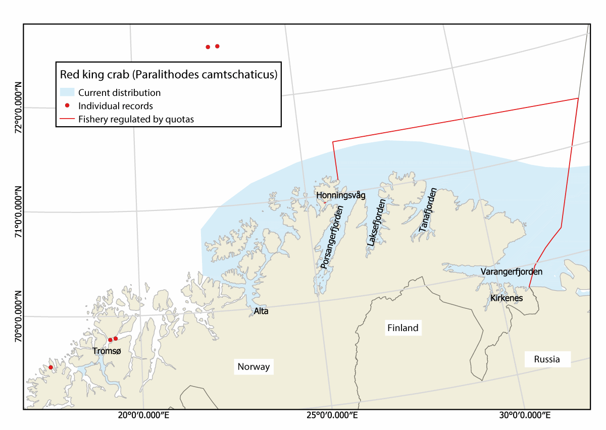 Figure 3.7 Current distribution of red king crab in the Barents Sea (both the Norwegian and the Russian sectors of the continental shelf), and individual records.